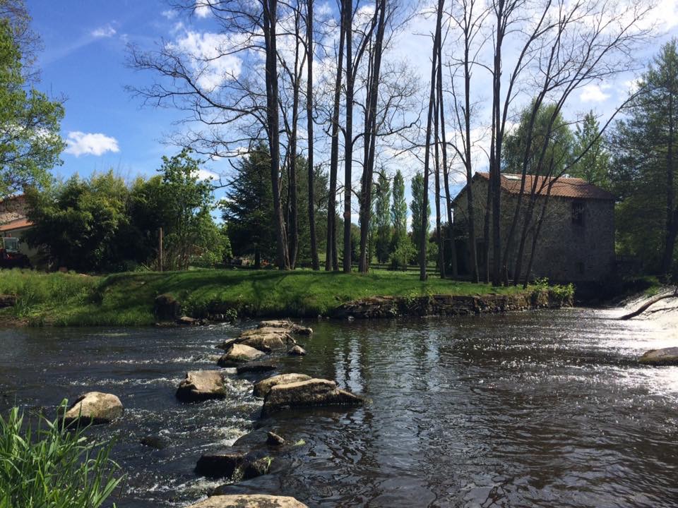 river photo 2